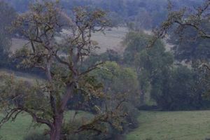 trail2016-273.jpg