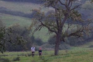 trail2016-259.jpg