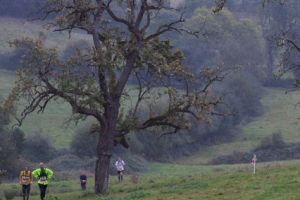 trail2016-256.jpg