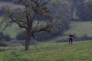 trail2016-269.jpg