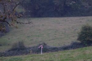 trail2016-182.jpg