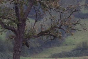 trail2016-261.jpg