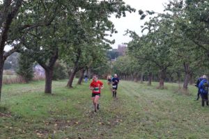 IMG_1260.JPG