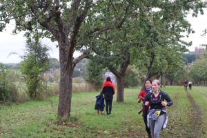 IMG_1378.JPG