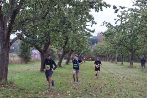 IMG_1178.JPG