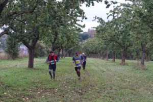 IMG_1237.JPG