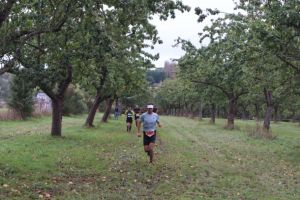 IMG_1245.JPG