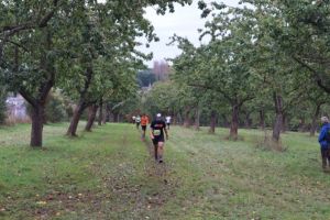 IMG_1310.JPG
