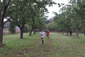 IMG_1259.JPG