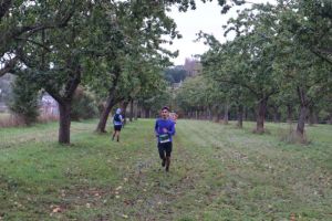 IMG_1210.JPG