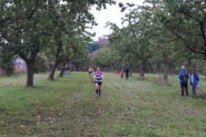 IMG_1263.JPG