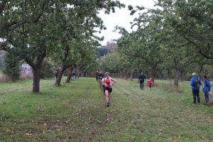 IMG_1264.JPG