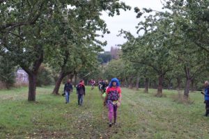 IMG_1287.JPG