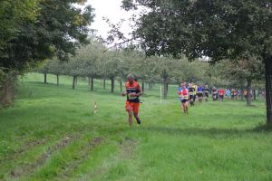 IMG_6029.jpg