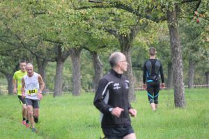 IMG_6417.jpg