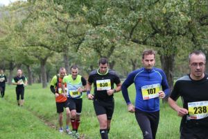 IMG_6568.jpg