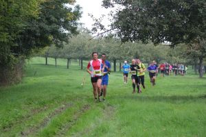 IMG_6032.jpg