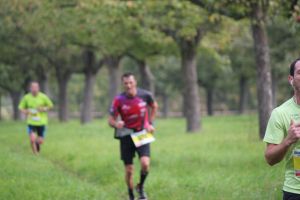 IMG_6325.jpg