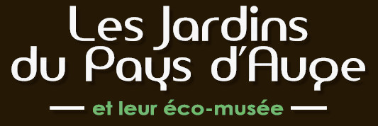 logo 12